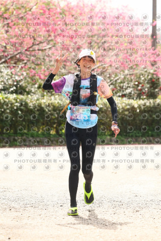 2026左岸竹東櫻花馬拉松Zhudong Sakura Marathon