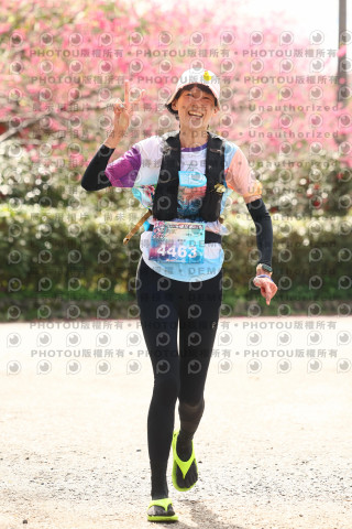 2026左岸竹東櫻花馬拉松Zhudong Sakura Marathon
