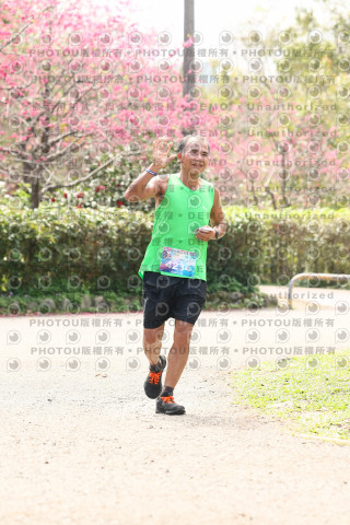 2026左岸竹東櫻花馬拉松Zhudong Sakura Marathon