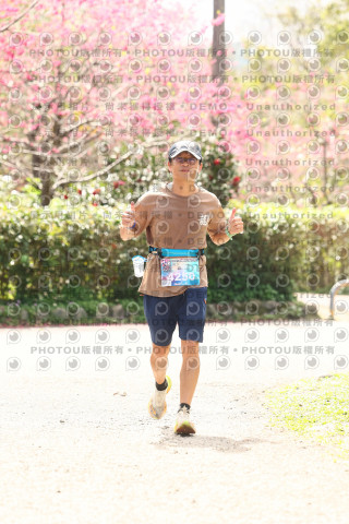 2026左岸竹東櫻花馬拉松Zhudong Sakura Marathon