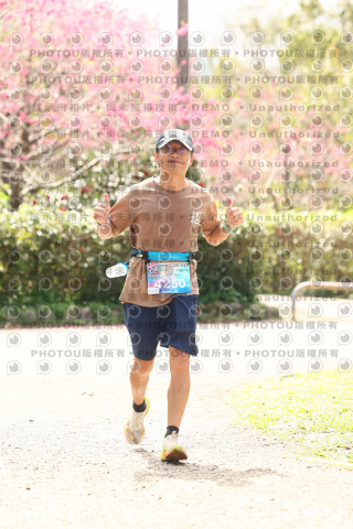 2026左岸竹東櫻花馬拉松Zhudong Sakura Marathon