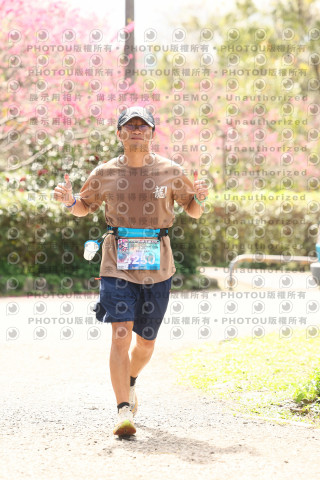 2026左岸竹東櫻花馬拉松Zhudong Sakura Marathon
