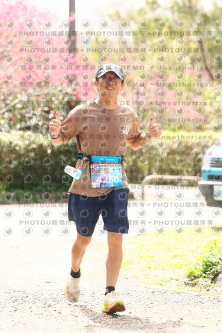 2026左岸竹東櫻花馬拉松Zhudong Sakura Marathon