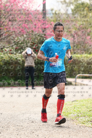 2026左岸竹東櫻花馬拉松Zhudong Sakura Marathon