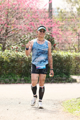 2026左岸竹東櫻花馬拉松Zhudong Sakura Marathon