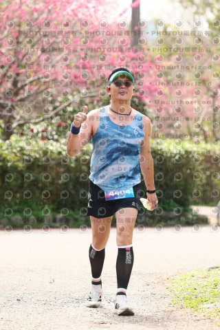 2026左岸竹東櫻花馬拉松Zhudong Sakura Marathon