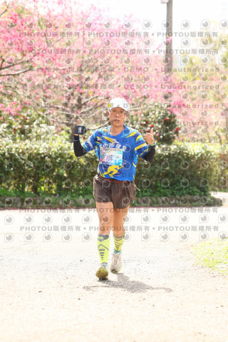 2026左岸竹東櫻花馬拉松Zhudong Sakura Marathon