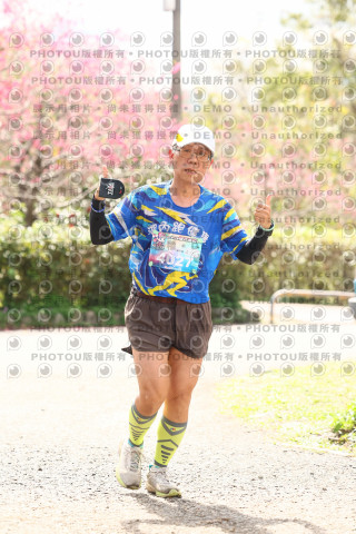 2026左岸竹東櫻花馬拉松Zhudong Sakura Marathon