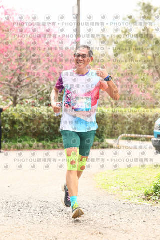 2026左岸竹東櫻花馬拉松Zhudong Sakura Marathon