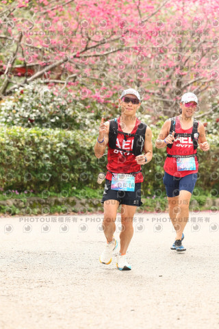 2026左岸竹東櫻花馬拉松Zhudong Sakura Marathon