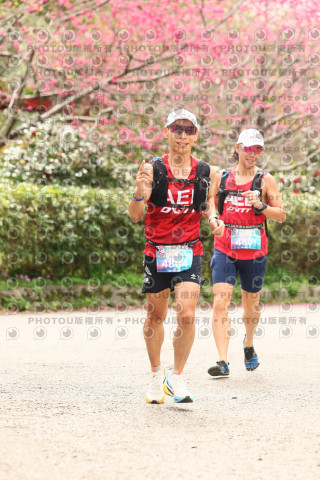 2026左岸竹東櫻花馬拉松Zhudong Sakura Marathon