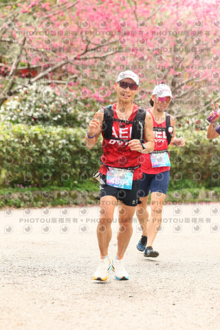 2026左岸竹東櫻花馬拉松Zhudong Sakura Marathon