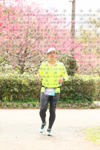 2026左岸竹東櫻花馬拉松Zhudong Sakura Marathon