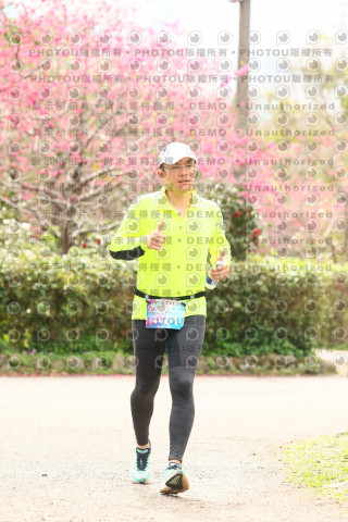 2026左岸竹東櫻花馬拉松Zhudong Sakura Marathon