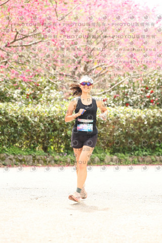 2026左岸竹東櫻花馬拉松Zhudong Sakura Marathon