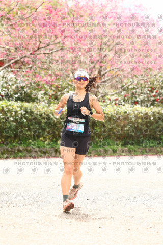 2026左岸竹東櫻花馬拉松Zhudong Sakura Marathon