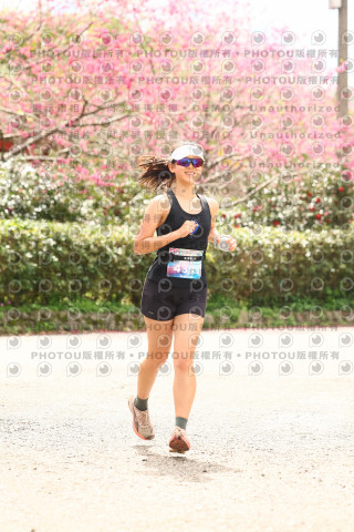 2026左岸竹東櫻花馬拉松Zhudong Sakura Marathon