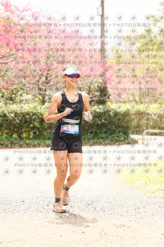 2026左岸竹東櫻花馬拉松Zhudong Sakura Marathon