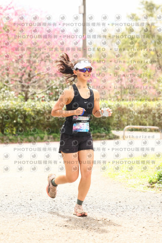 2026左岸竹東櫻花馬拉松Zhudong Sakura Marathon