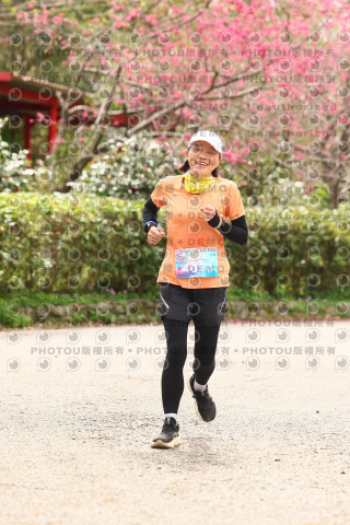 2026左岸竹東櫻花馬拉松Zhudong Sakura Marathon