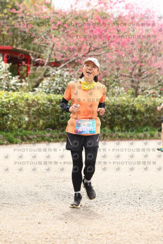 2026左岸竹東櫻花馬拉松Zhudong Sakura Marathon