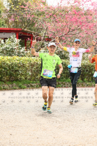 2026左岸竹東櫻花馬拉松Zhudong Sakura Marathon