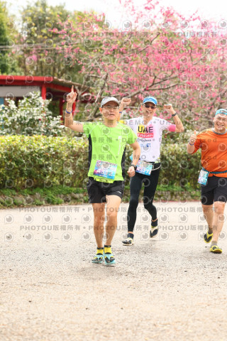 2026左岸竹東櫻花馬拉松Zhudong Sakura Marathon