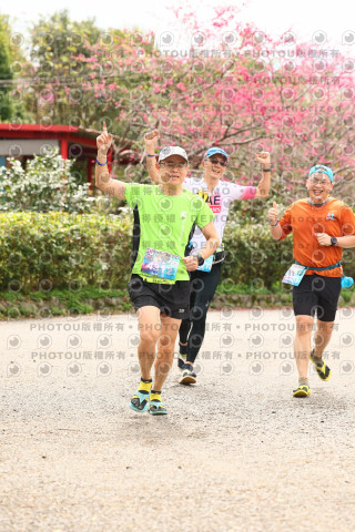 2026左岸竹東櫻花馬拉松Zhudong Sakura Marathon