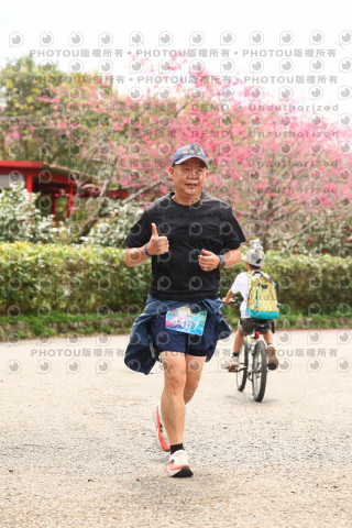 2026左岸竹東櫻花馬拉松Zhudong Sakura Marathon