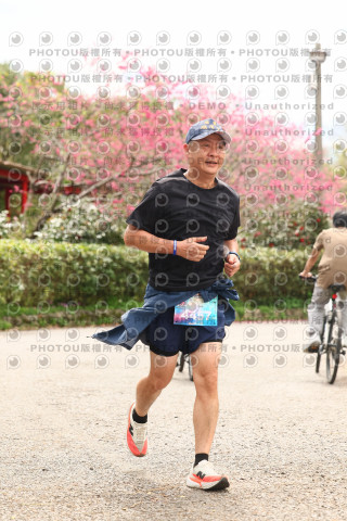 2026左岸竹東櫻花馬拉松Zhudong Sakura Marathon