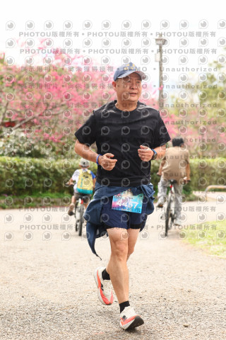2026左岸竹東櫻花馬拉松Zhudong Sakura Marathon