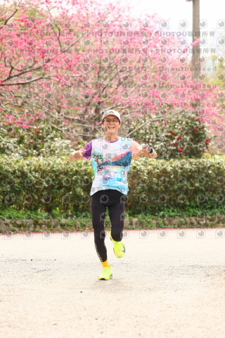 2026左岸竹東櫻花馬拉松Zhudong Sakura Marathon
