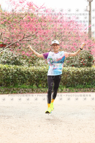 2026左岸竹東櫻花馬拉松Zhudong Sakura Marathon