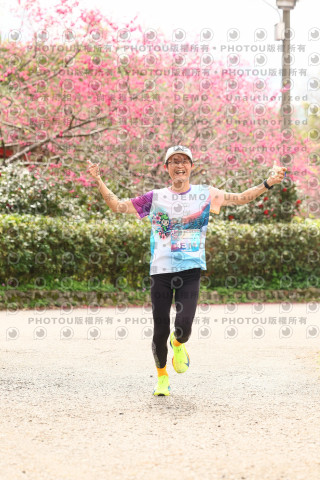 2026左岸竹東櫻花馬拉松Zhudong Sakura Marathon