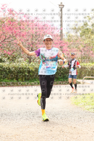 2026左岸竹東櫻花馬拉松Zhudong Sakura Marathon