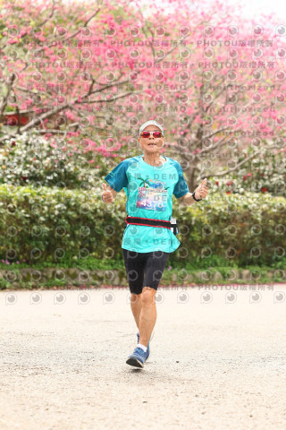 2026左岸竹東櫻花馬拉松Zhudong Sakura Marathon