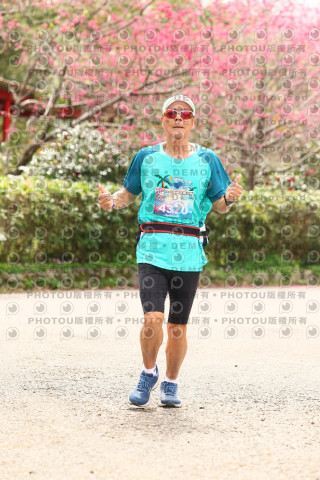 2026左岸竹東櫻花馬拉松Zhudong Sakura Marathon