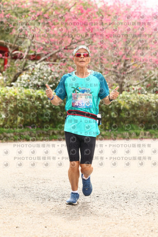 2026左岸竹東櫻花馬拉松Zhudong Sakura Marathon