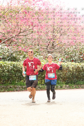2026左岸竹東櫻花馬拉松Zhudong Sakura Marathon