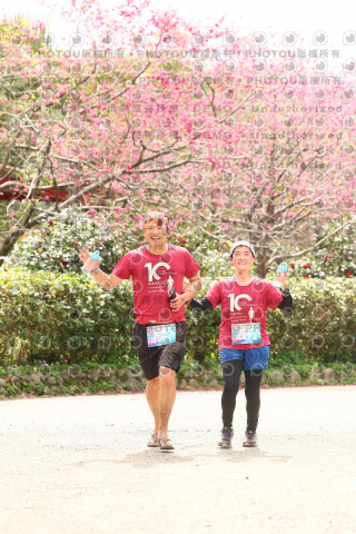 2026左岸竹東櫻花馬拉松Zhudong Sakura Marathon