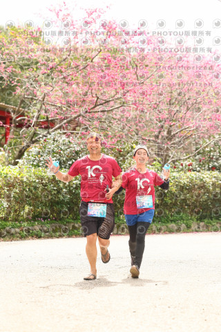 2026左岸竹東櫻花馬拉松Zhudong Sakura Marathon