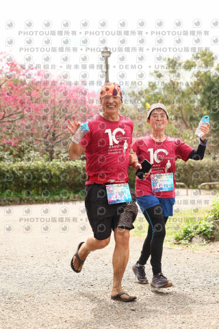 2026左岸竹東櫻花馬拉松Zhudong Sakura Marathon