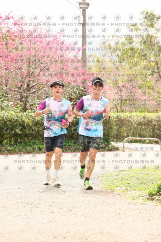2026左岸竹東櫻花馬拉松Zhudong Sakura Marathon
