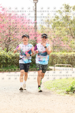 2026左岸竹東櫻花馬拉松Zhudong Sakura Marathon