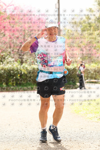 2026左岸竹東櫻花馬拉松Zhudong Sakura Marathon