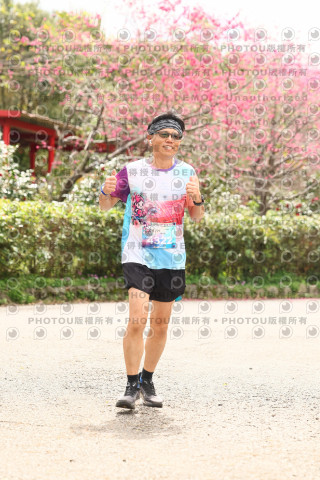 2026左岸竹東櫻花馬拉松Zhudong Sakura Marathon