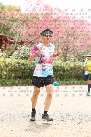 2026左岸竹東櫻花馬拉松Zhudong Sakura Marathon