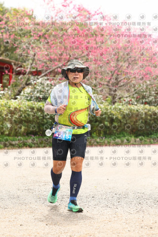 2026左岸竹東櫻花馬拉松Zhudong Sakura Marathon