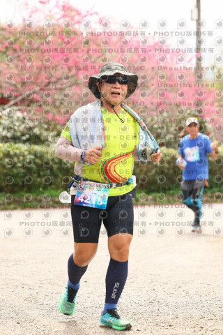 2026左岸竹東櫻花馬拉松Zhudong Sakura Marathon