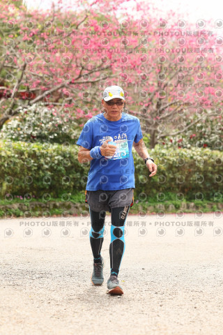 2026左岸竹東櫻花馬拉松Zhudong Sakura Marathon